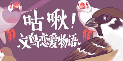 咕啾！文鸟恋爱物语 Love Story of Sparrow