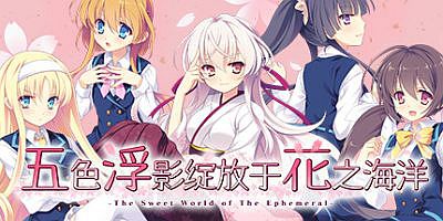 五色浮影绽放于花之海洋 the sweet world of the ephemeral