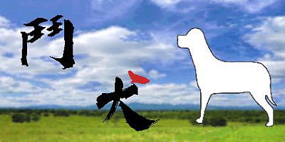 斗犬/鬥犬 Dog Fighting