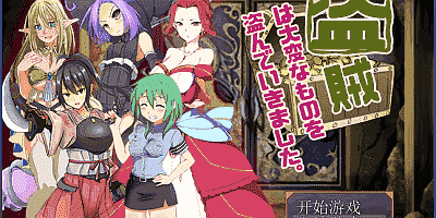 V2.24+攻略|盗贼偷走了女孩子重要的东西/盗賊は大変なものを盗んでいきました。