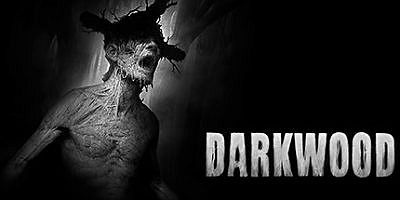 阴暗森林|v1.4A|官方中文|支持手柄|Darkwood