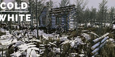 冷白|官方中文|支持手柄|The Cold White