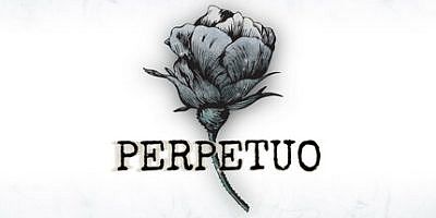 永久|官方中文|支持手柄|Perpetuo